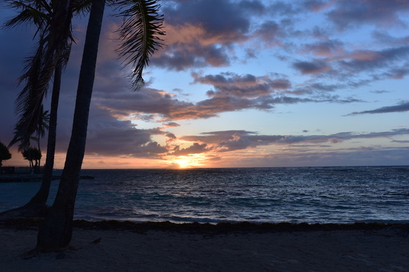 DSC_0669.jpeg