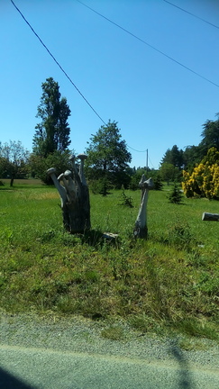 IMG 20190602 111203
